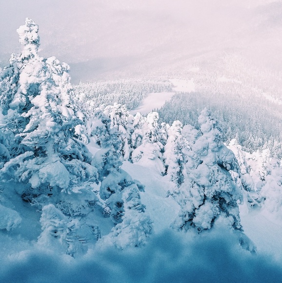 Meet your Posher, Una - Picture 1 of 1